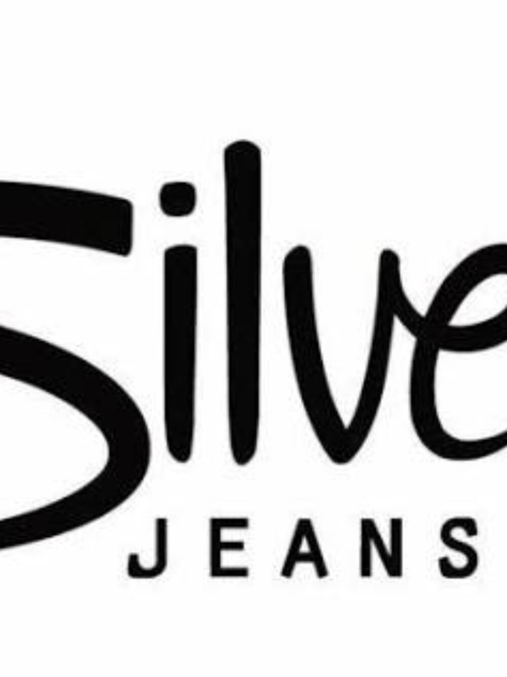Vintage Silver Monroe Ultra Low Rise Jeans - Faded Wash Denim Size 29/33